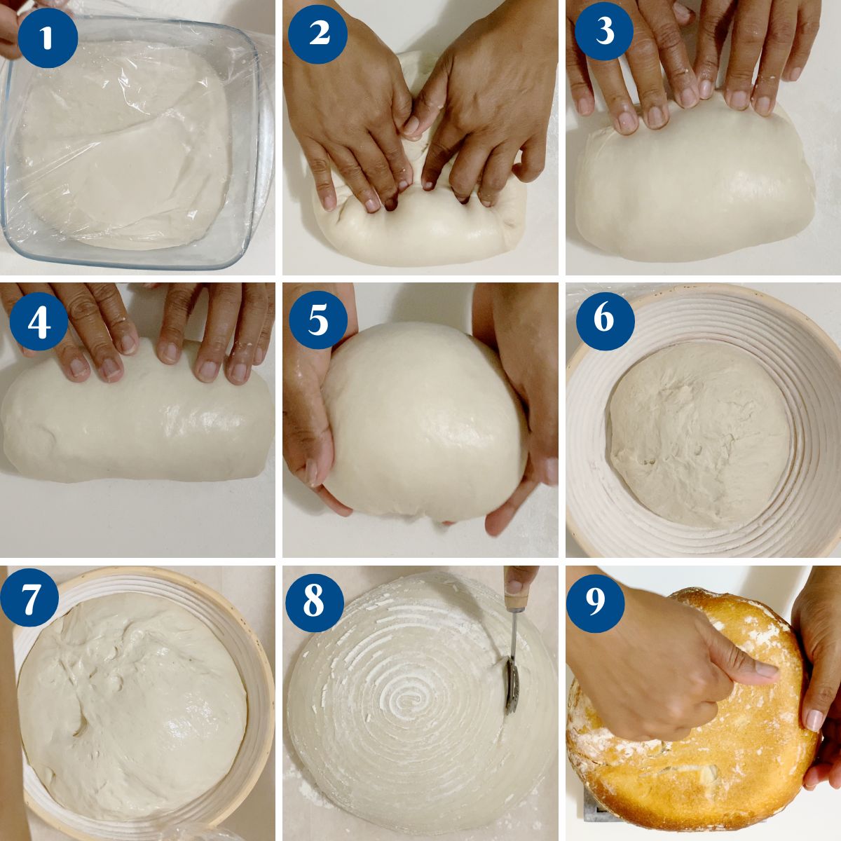 Progress pictures making sourdough.