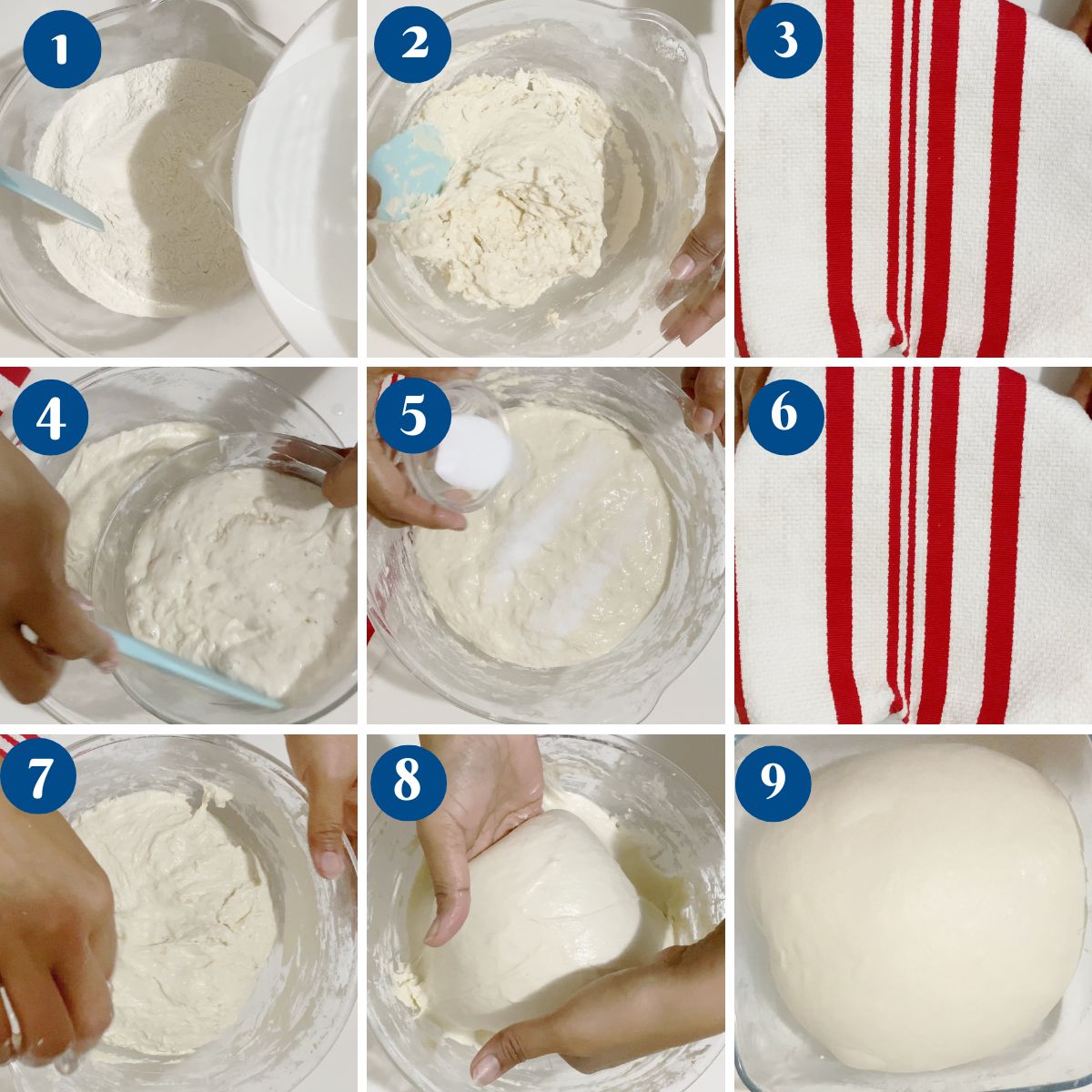 Progress pictures making sourdough.