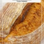 Pinterest image for sourdough loaves.