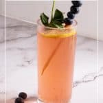 Pinterest image - A cocktail glass with mojitos with fresh blueberries.