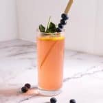 A cocktail glass with mojitos with fresh blueberries.