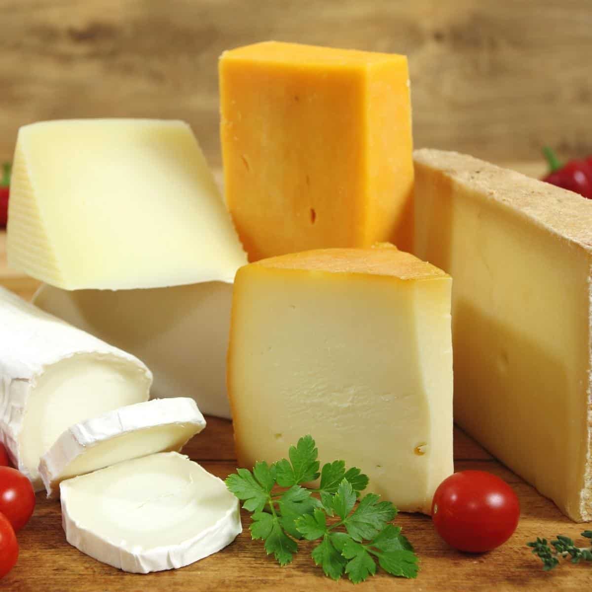 A stack of different types of cheese.