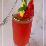 Pinterest image for mojito.