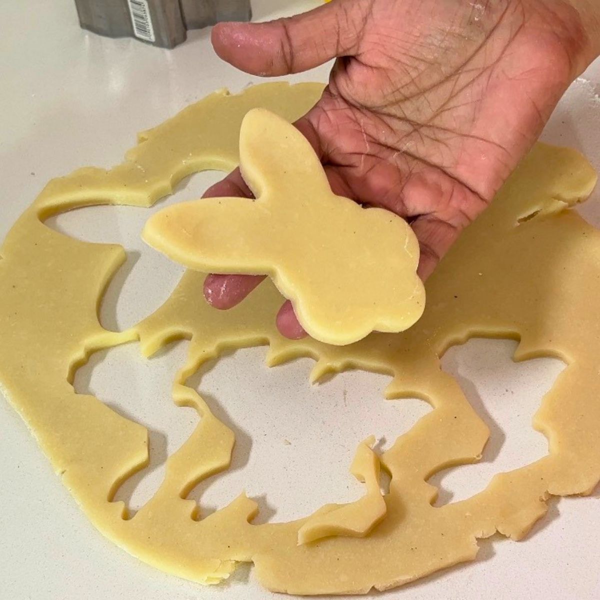 Sugar cookie in Bunny shape cut out.