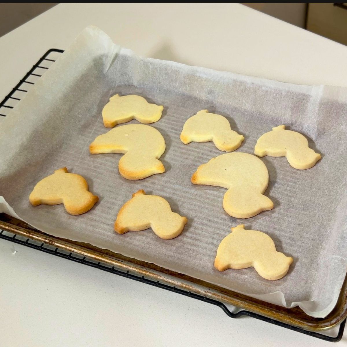 Baked chic sugar cookies on baking tray.
