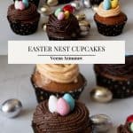 Pinterest image Birds Nest Eater Cupcakes.