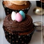 Pinterest image Birds Nest Eater Cupcakes.