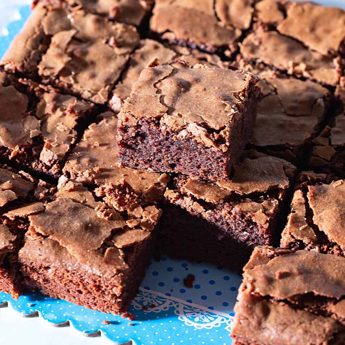 Brownie squares with a top crust.