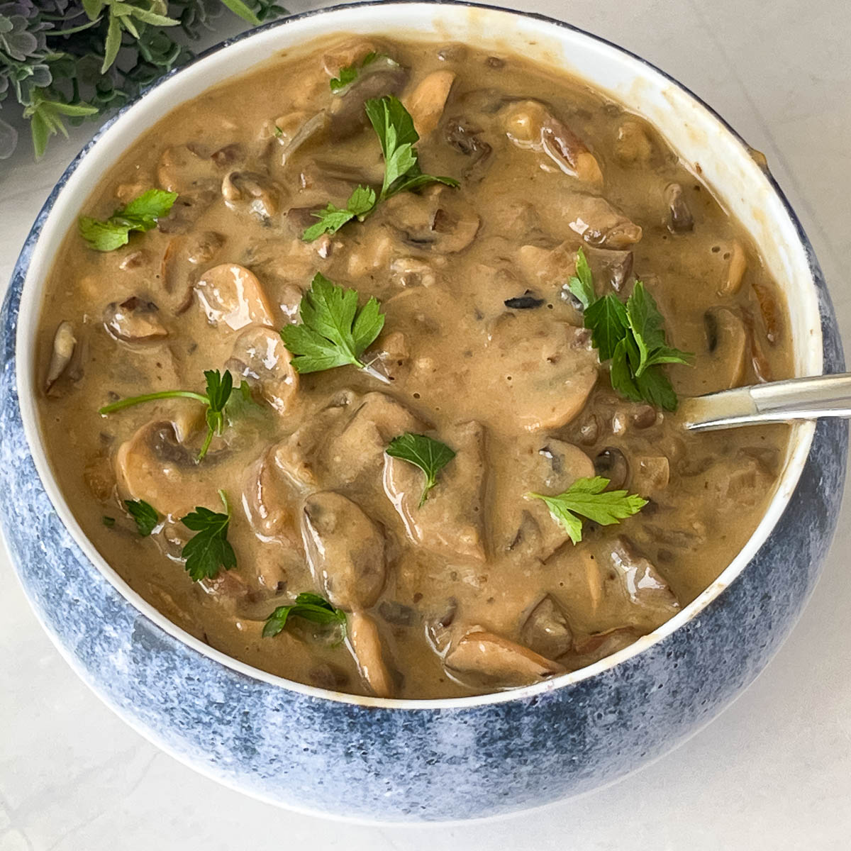 A bowl with mushroom steak sauce.