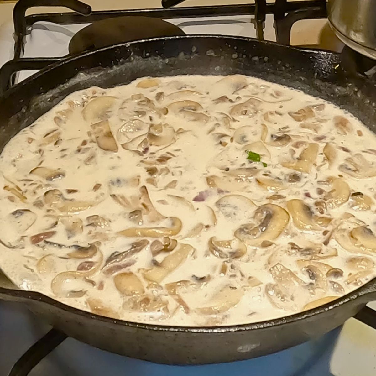 Progress pictures for mushroom steak sauce.