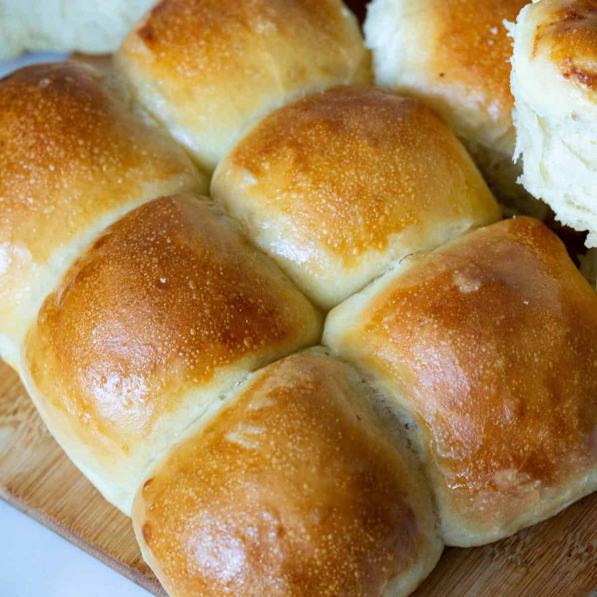 Baking Bread a Beginners Guide.