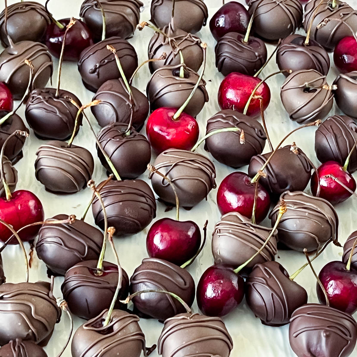 A plate with fresh cherries coated with chocolate.