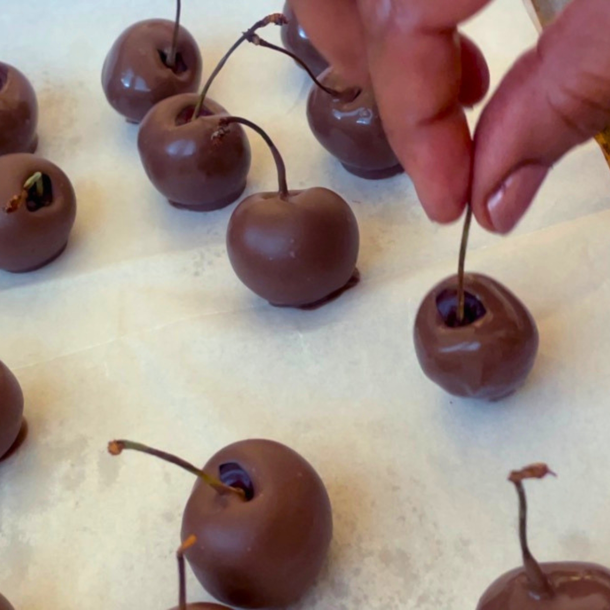 Milk chocolate Cherries on a tray.