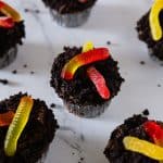 A few cupcakes with dirt and worms.
