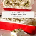 Pinterest image for Tres Leches Cake.