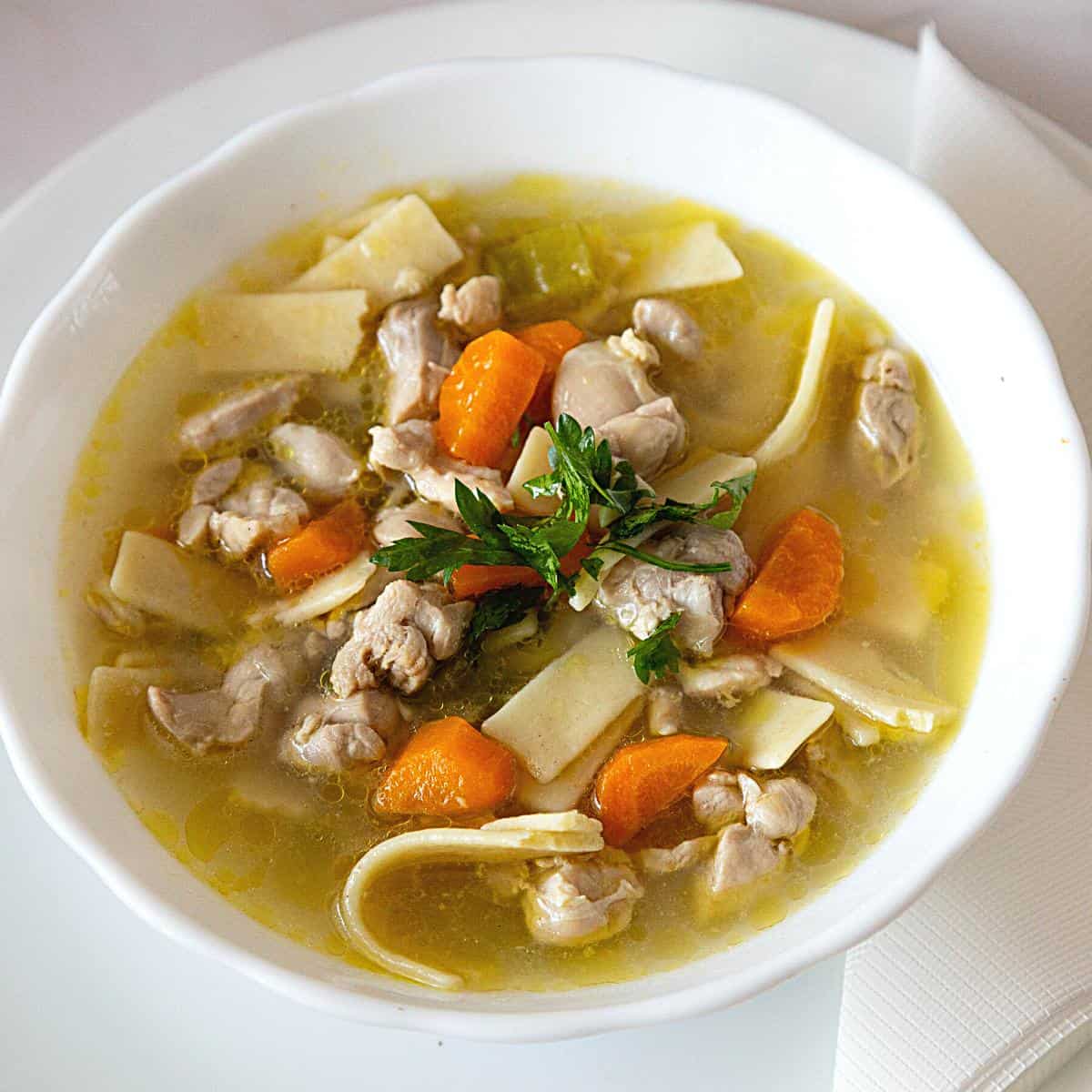 A bowl of soup with chicken and noodles.