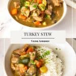 Pinterest image for Turkey Stew in veggies.