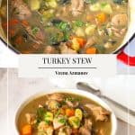 Pinterest image for Turkey Stew in veggies.