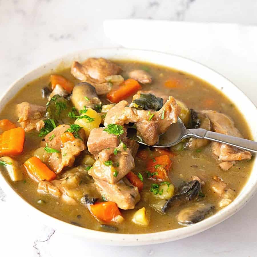 A bowl with turkey stew and a spoon.