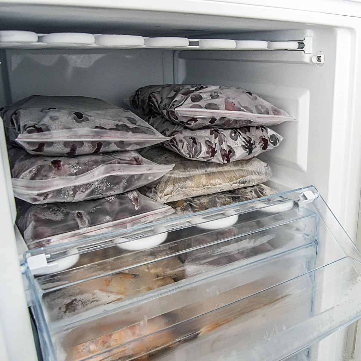 Proper Food Freezing Techniques  The Ultimate Guide - 87