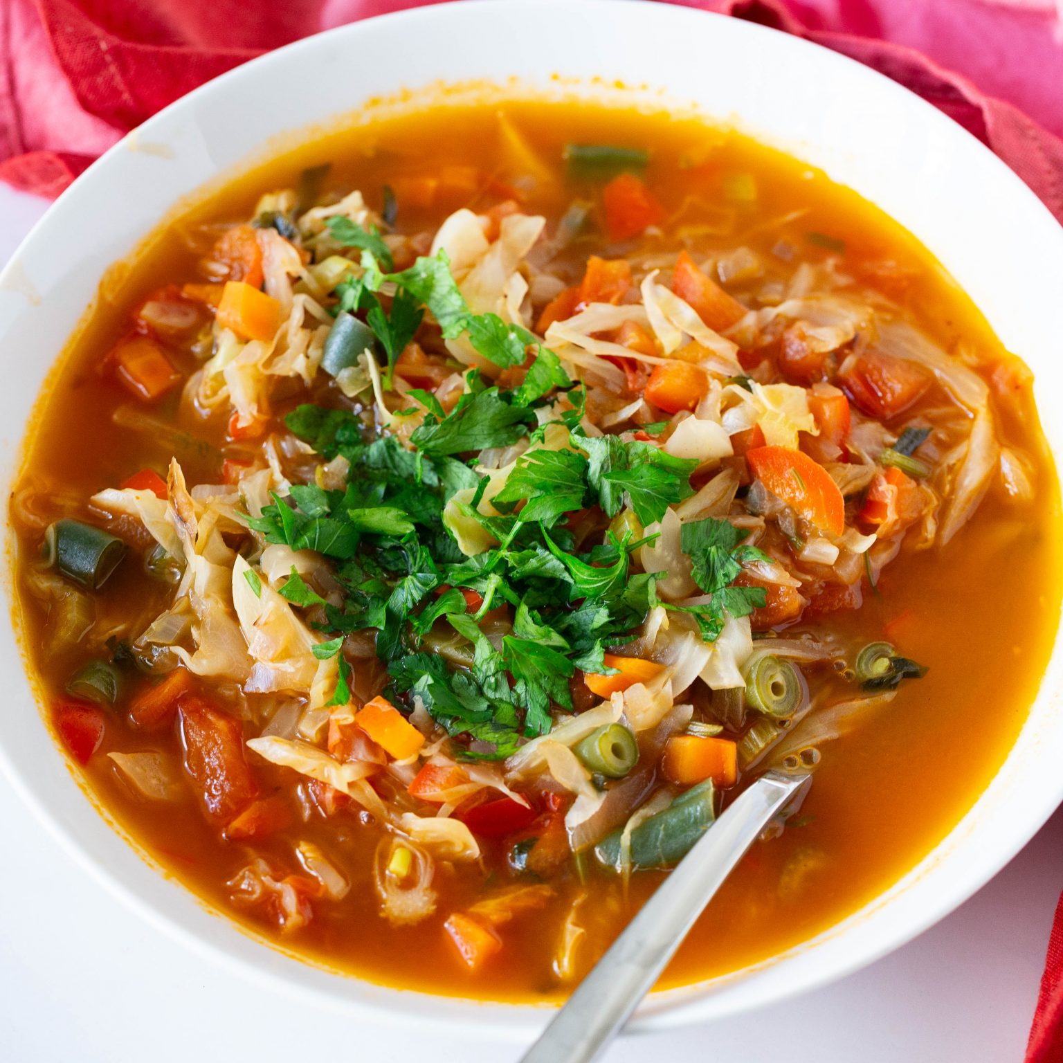 20 Healthy Soups And Salads Easy Light Meals Veena Azmanov Kitchen 20-healthy-soups-and-salads-easy-light-meals-veena-azmanov-kitchen