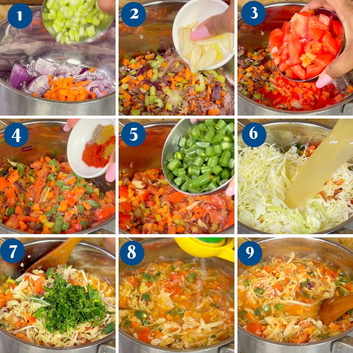 Progress Pictures making cabbage soup.