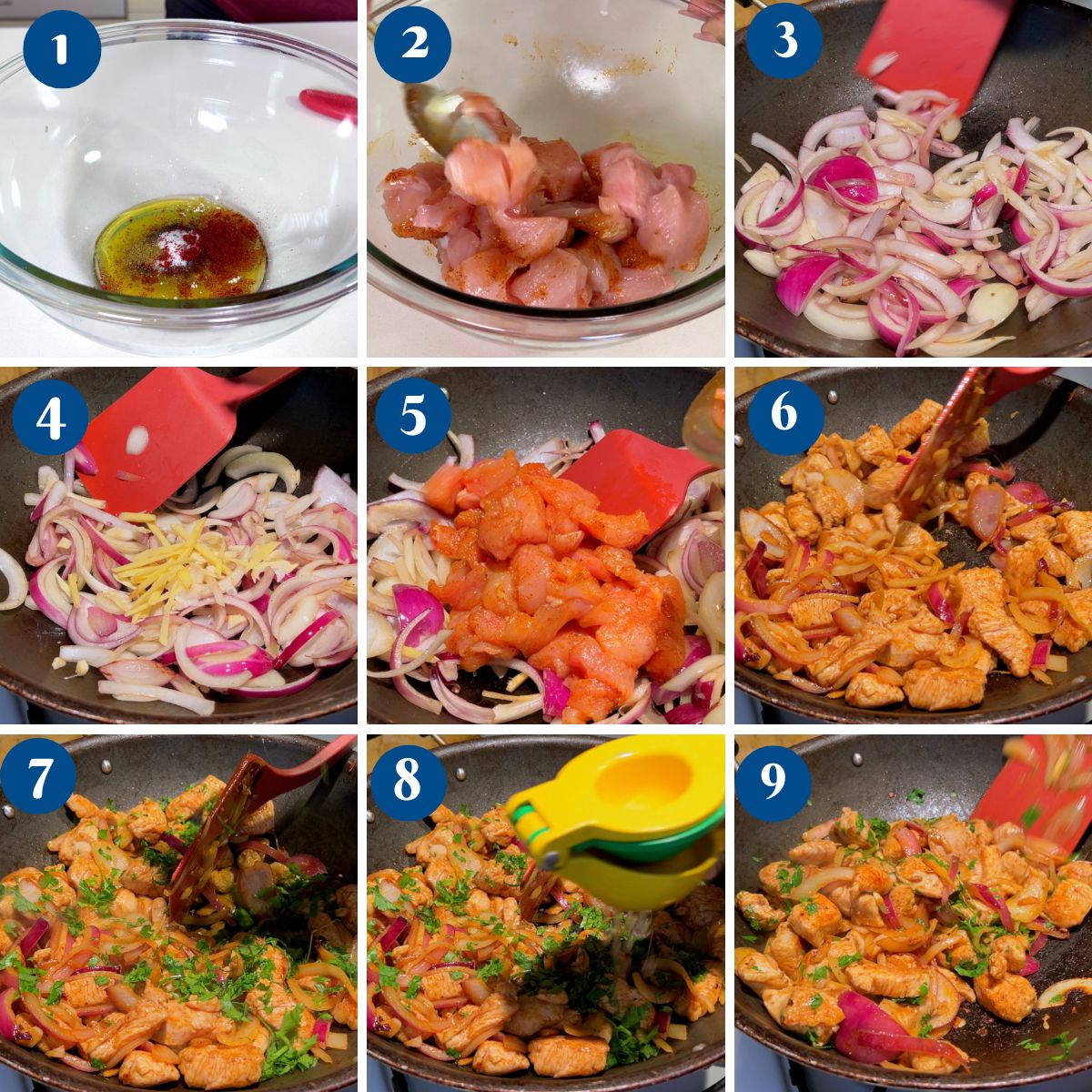 Progress pictures making sauteed chicken with onions.