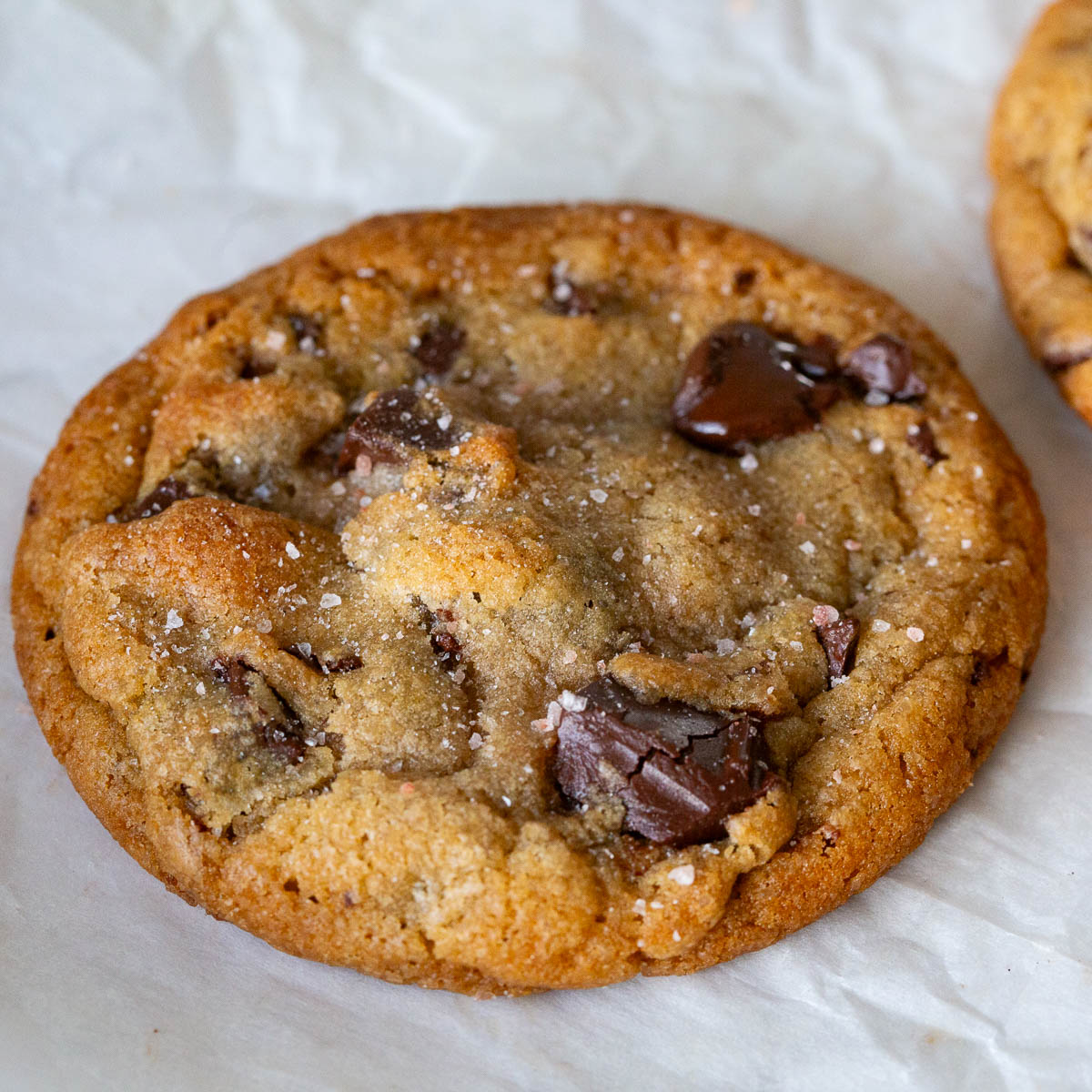 A chocolate chip cookie on the table.