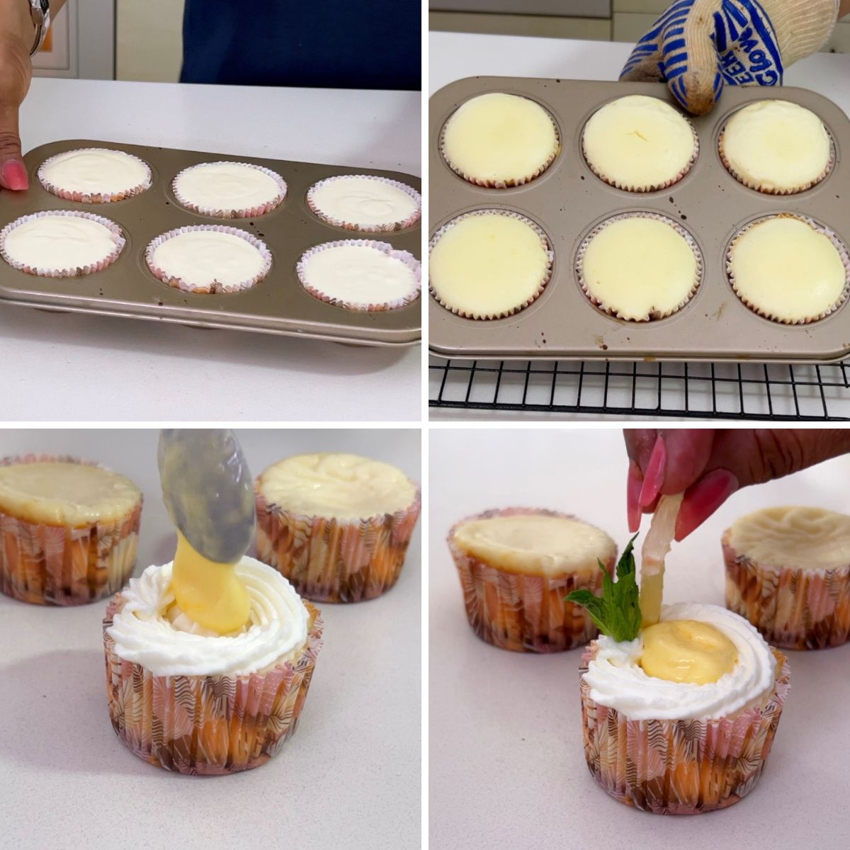 Progress pictures making lemon cheesecakes.