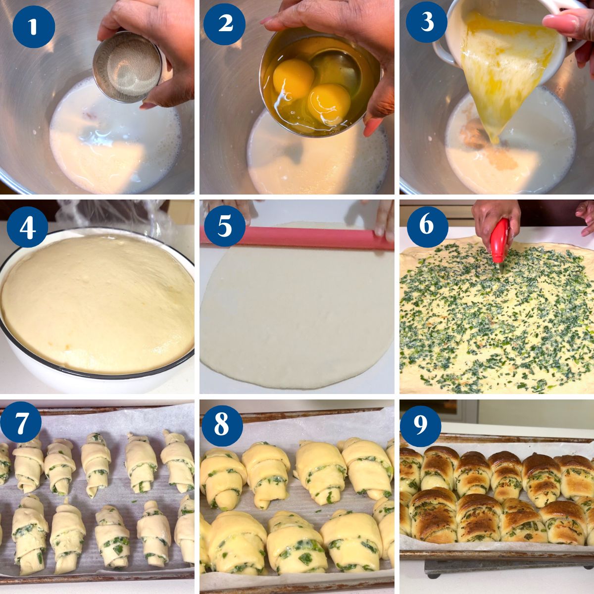 Progress pictures for making Scallion bread.
