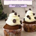 Pinterest image for chocolate chip Pumpkin Cupcakes with No Butter Cream Cheese Frosting.