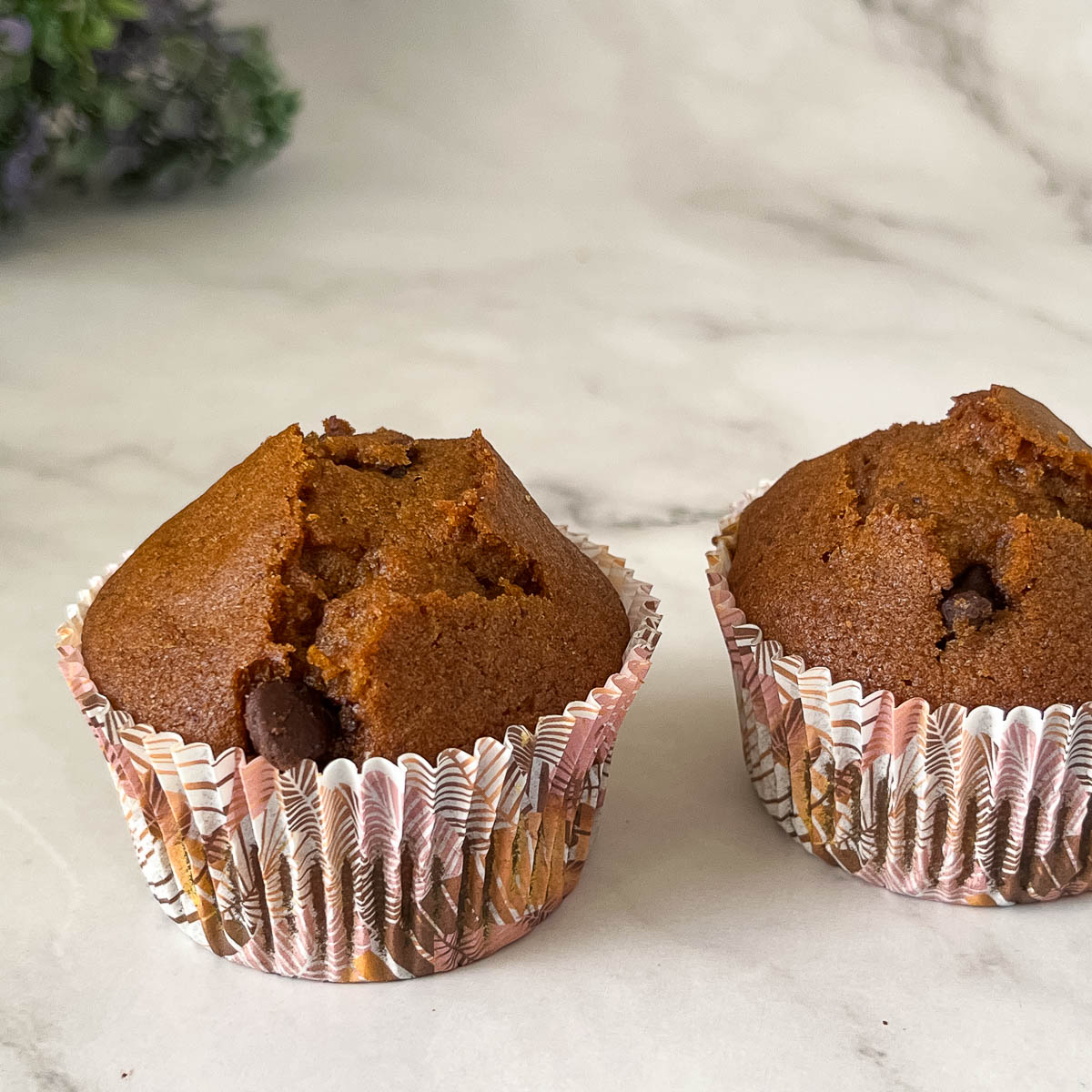 Chocolate Chip Cupcakes on the table.