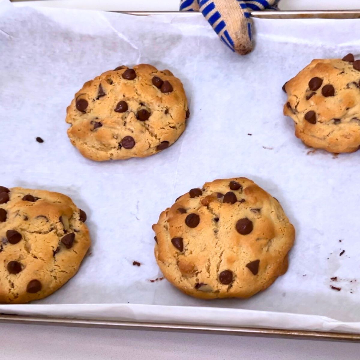 A baking tray with baked chocolate chip cookies.