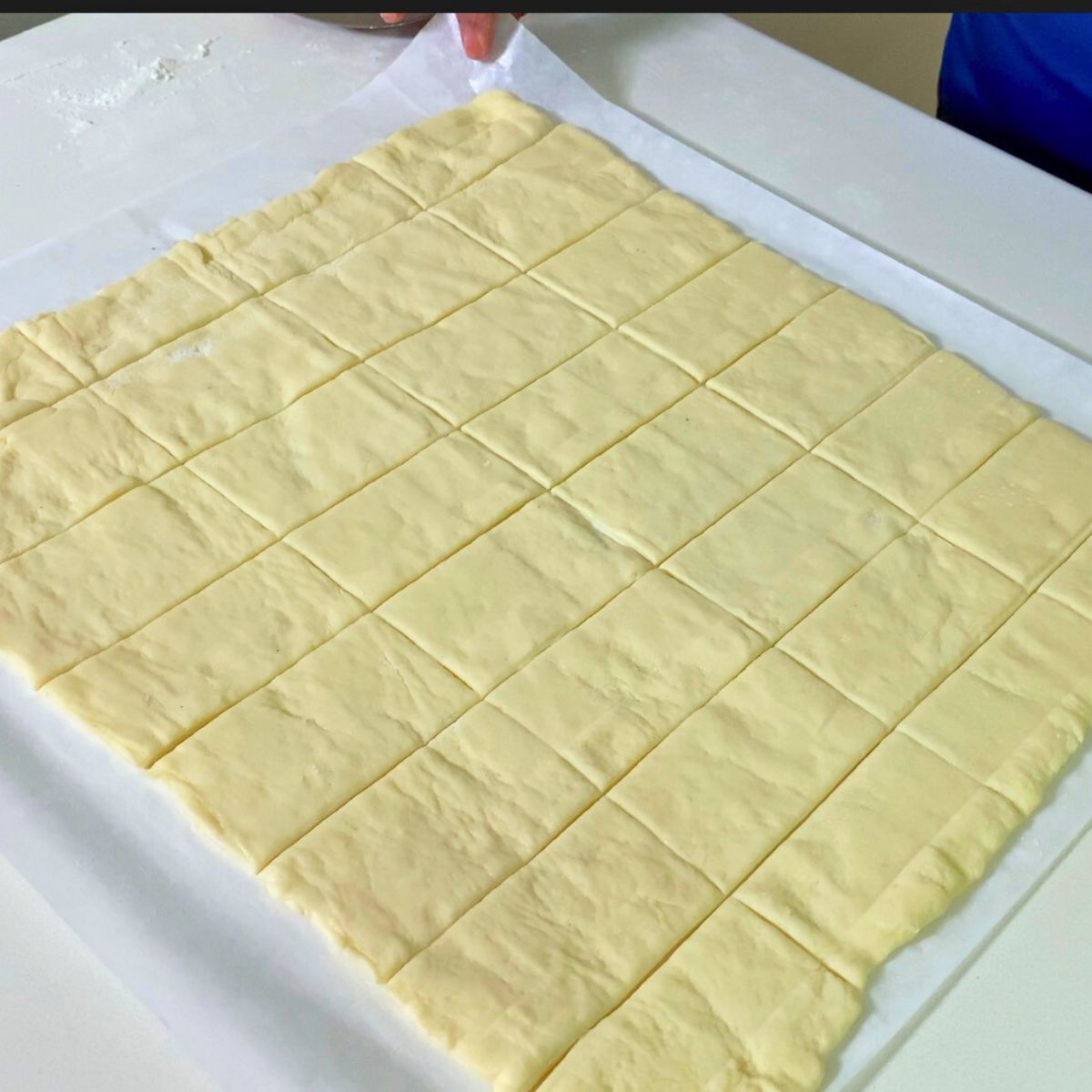 Pizza dough divided into 32 portions.