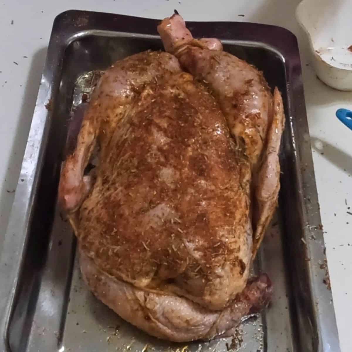 A stainless steel tray with whole chicken in dry rub.
