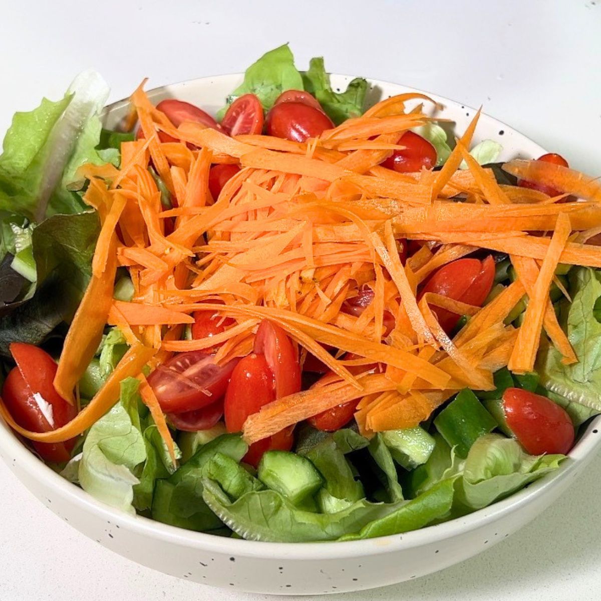 A bowl with salad veggies.