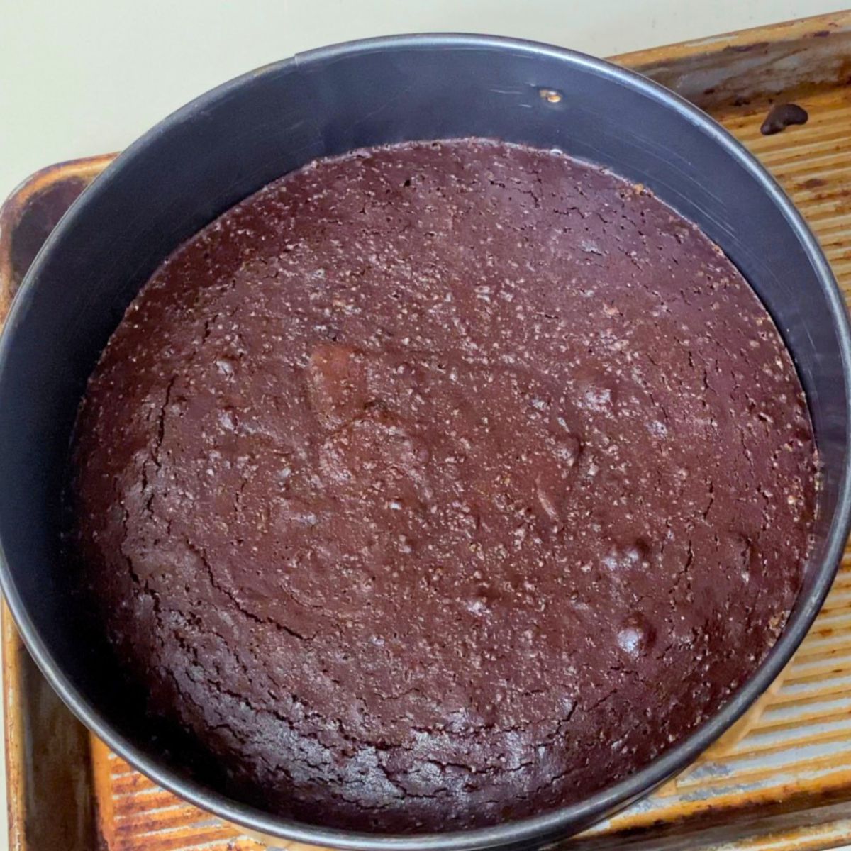 A spring form pan with baked chocolate brownie.