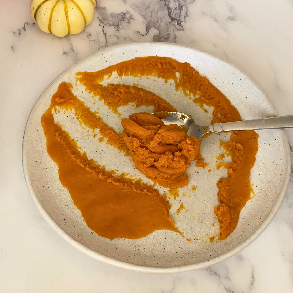 Pumpkin puree blotted with paper towel.