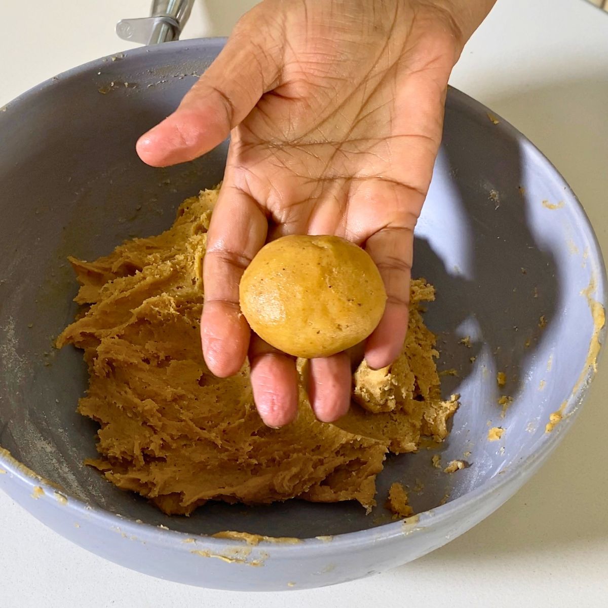 Cookie dough ball with cinnamon sugar.