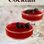 Pinterest image for blackberry Cocktail Black Widow.